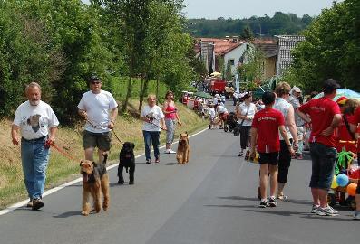 Festzug