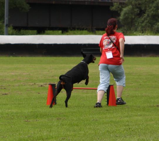 Petra & Nasty: Hürdenlauf